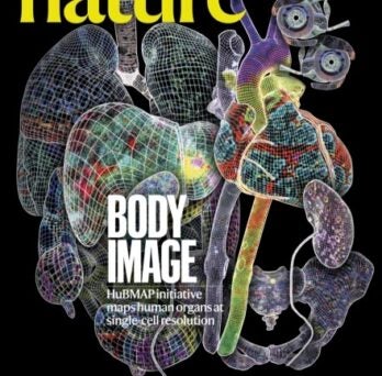 Cover of Nature Volume 619 Issue 7970, 20 July 2023
                  