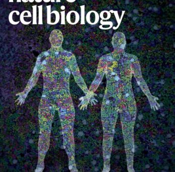 Cover of Nature Cell Biology Volume 25 Issue 8, August 2023
                  