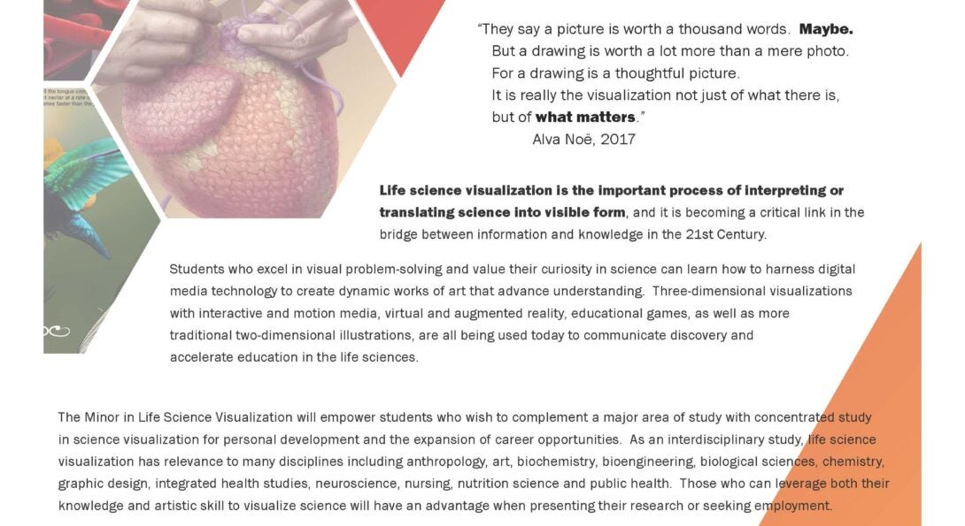 Life science visualization minor flyer page one