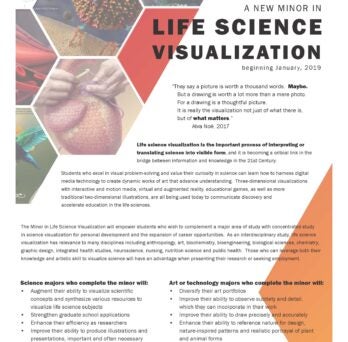 Life science visualization minor flyer page one
                  